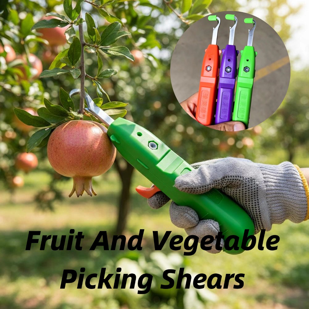 Gardening Tools Wholesale - กรรไกรตัดผลไม้และผัก กรรไกรตัดแต่งกิ่งในสวน ใบมีดโค้ง เครื่องมือเก็บเกี่ยว สำหรับเก็บเกี่ยวองุ่นและพริก