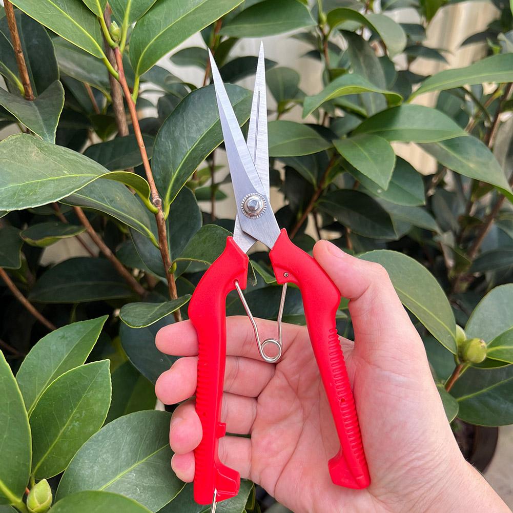 Gardening Tools Wholesale - กรรไกรตัดแต่งกิ่ง Pro Garden แบบยาวพิเศษ สำหรับตัดต้นไม้ ดอกไม้