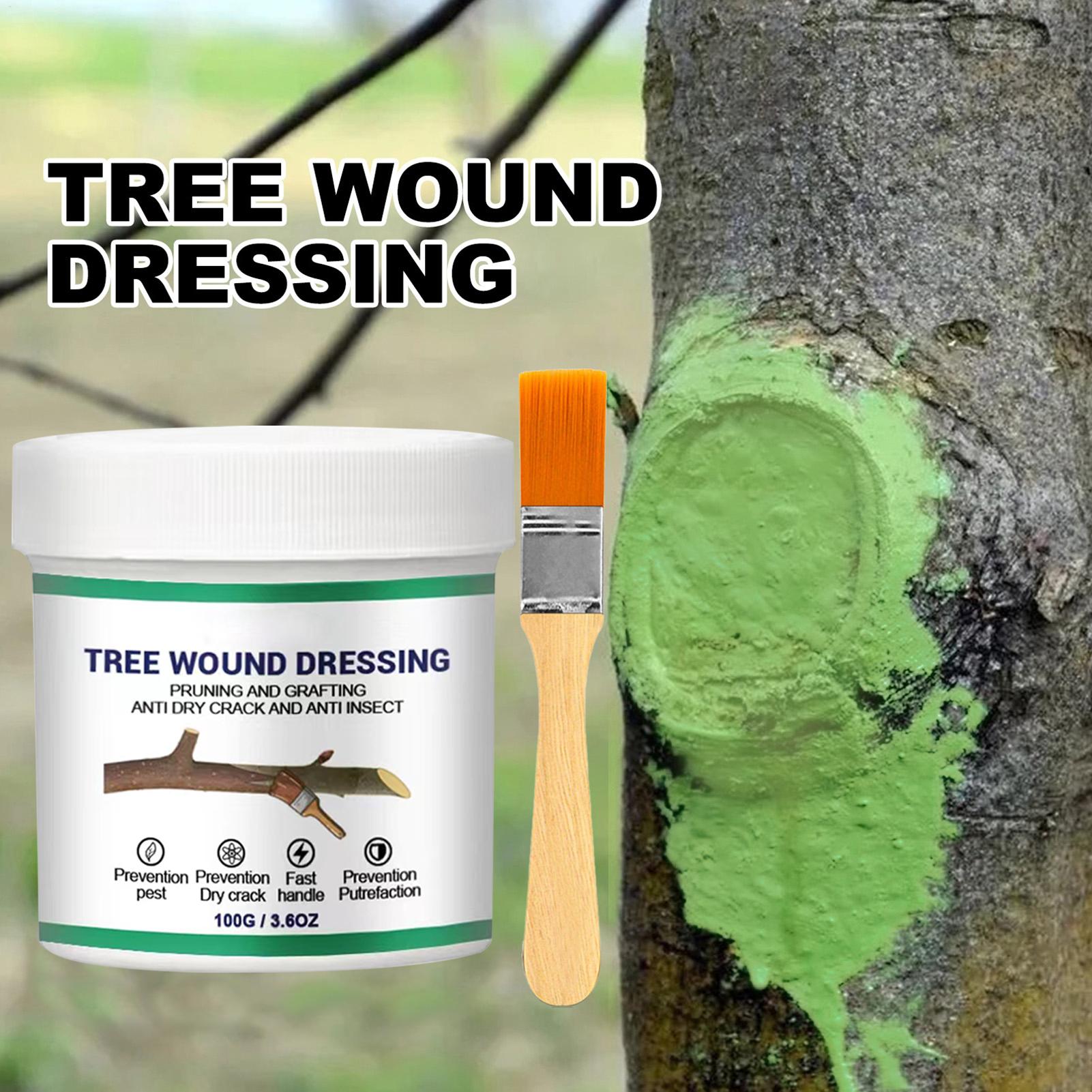 Gardening Tools Wholesale - น้ำยาปิดแผลต้นไม้ น้ำยาทาแผลต้นไม้ น้ำยาเคลือบแผลตัดแต่งกิ่งไม้ น้ำยาเคลือบแผลจากใบเลื่อย น้ำยาซ่อมแซมแผลต้นไม้ อุปกรณ์ซ่อมแซมแผลตัดแต่งกิ่ง