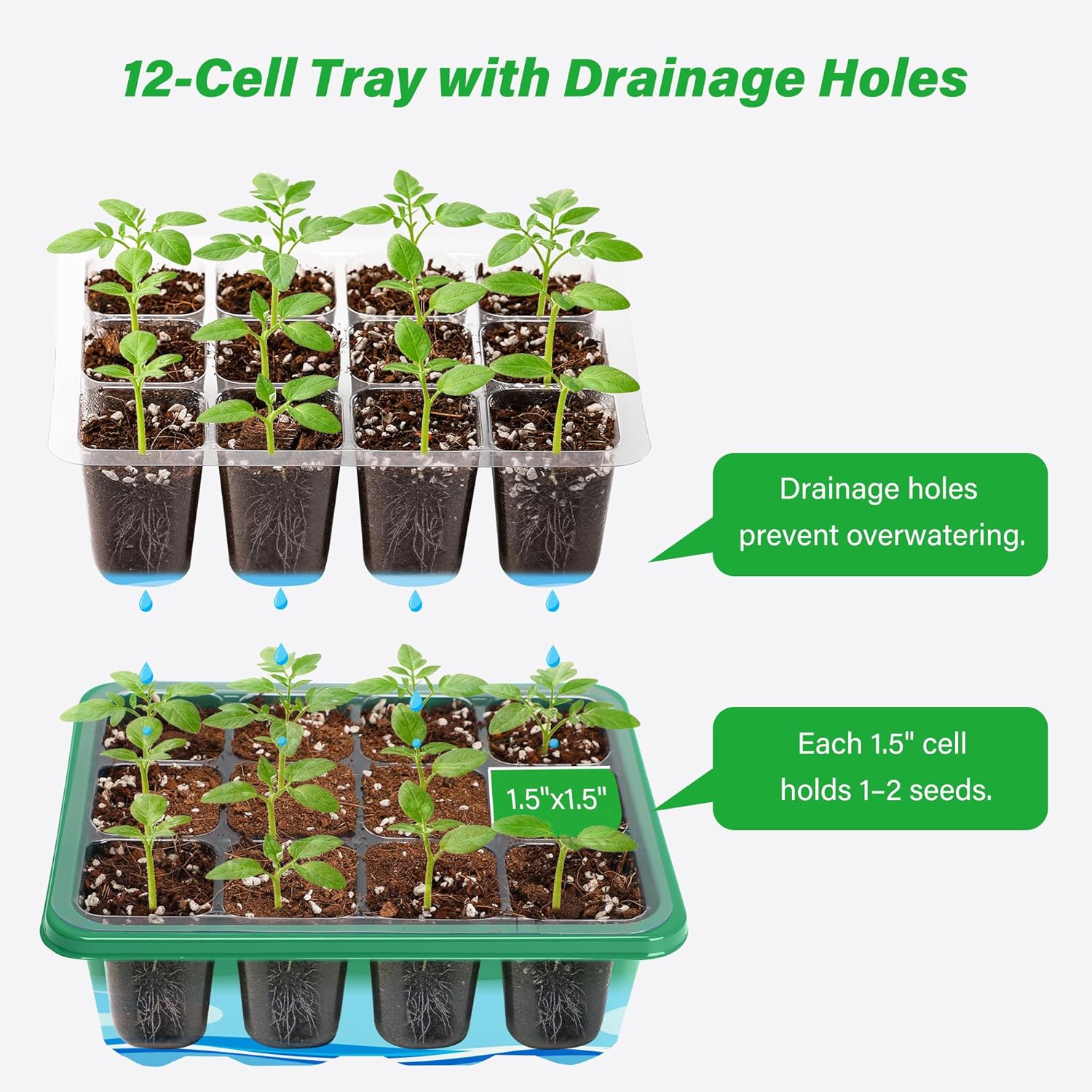 ชุดเพาะเมล็ดพร้อมถาดเพาะ 6/12  - Propagation Tray Dome บทวิจารณ์และราคา