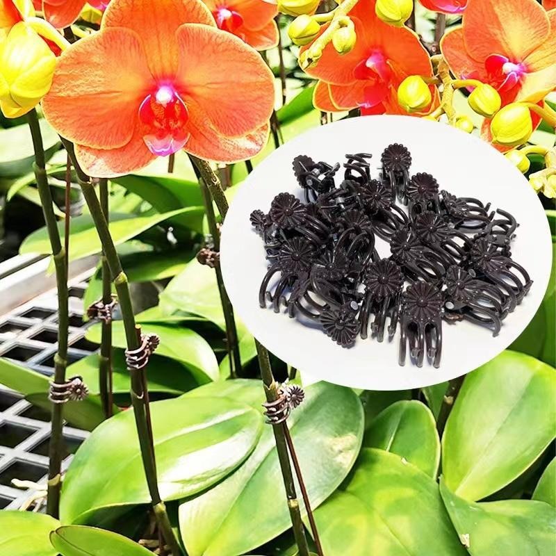 คลิปหนีบต้นไม้ขนาดเล็กสำหรับขา - Gardening Tools Wholesale บทวิจารณ์และราคา