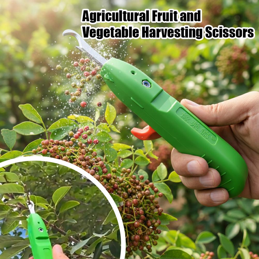 กรรไกรตัดผลไม้และผัก กรรไกรตัด - Gardening Tools Wholesale บทวิจารณ์และราคา