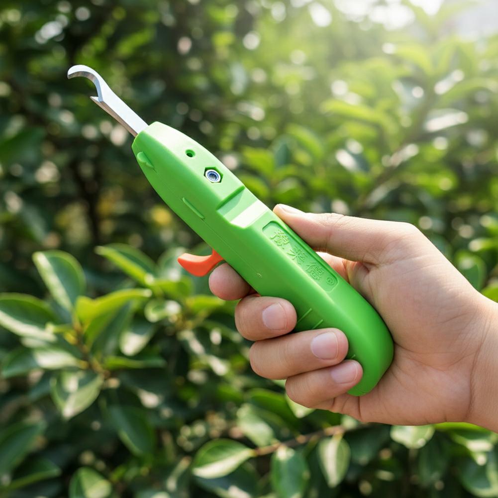 กรรไกรตัดผลไม้และผัก กรรไกรตัด - Gardening Tools Wholesale บทวิจารณ์และราคา