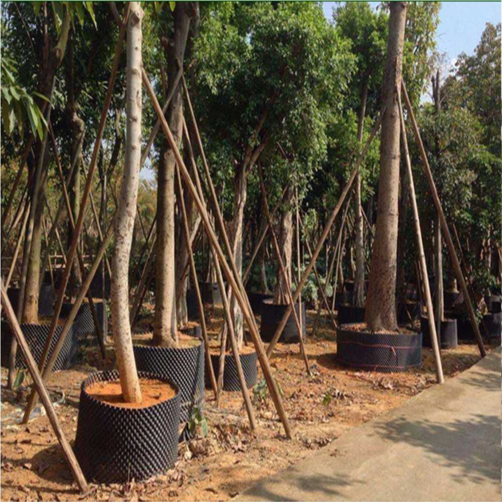 กระถางปลูกต้นไม้แบบเร่งการเจริ - Gardening Tools Of บทวิจารณ์และราคา