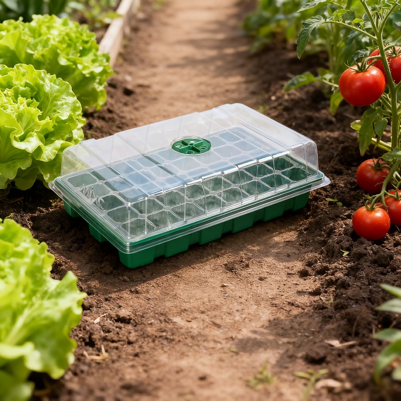ชุดถาดเพาะกล้า 1/5 ชิ้น - ถาดเ - Propagation Tray Dome บทวิจารณ์และราคา