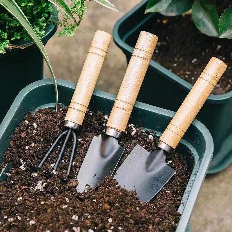 ชุดเครื่องมือทำสวนขนาดเล็ก 3 ช - Gardening Tools Wholesale บทวิจารณ์และราคา