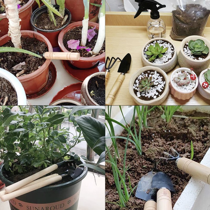 ชุดเครื่องมือทำสวนขนาดเล็ก 3 ช - Gardening Tools Wholesale บทวิจารณ์และราคา