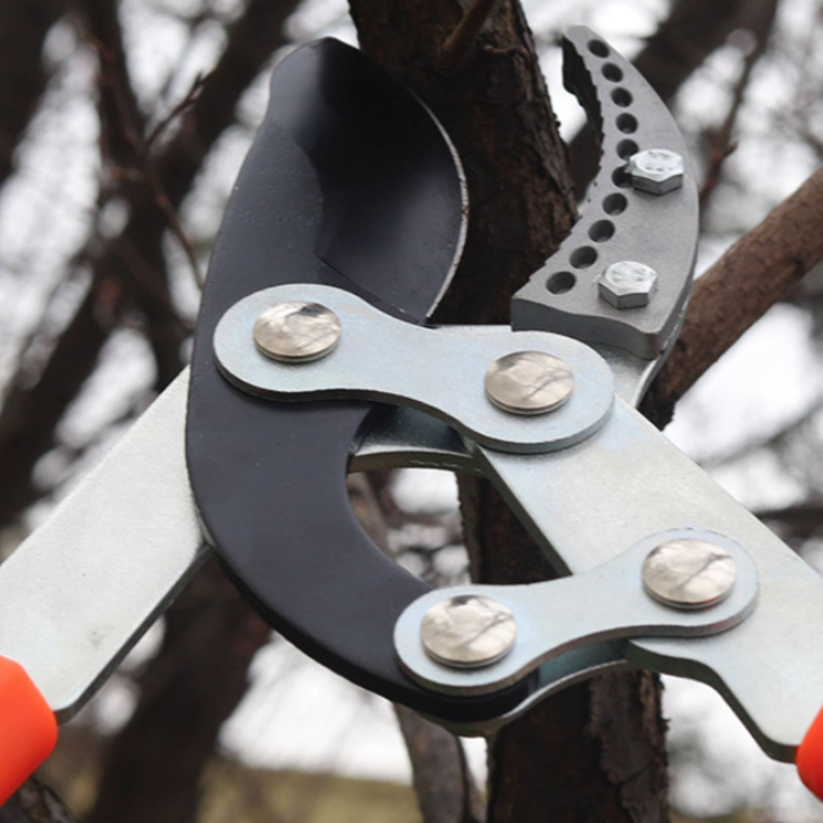 กรรไกรตัดกิ่งแบบยืดหดได้ ใบมีด - Gardening Tools Of บทวิจารณ์และราคา