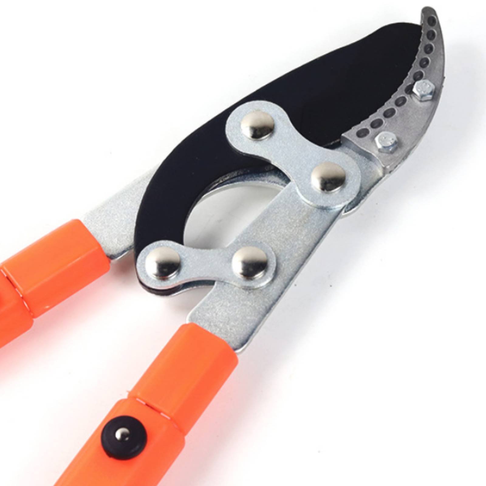 กรรไกรตัดกิ่งแบบยืดหดได้ ใบมีด - Gardening Tools Of บทวิจารณ์และราคา