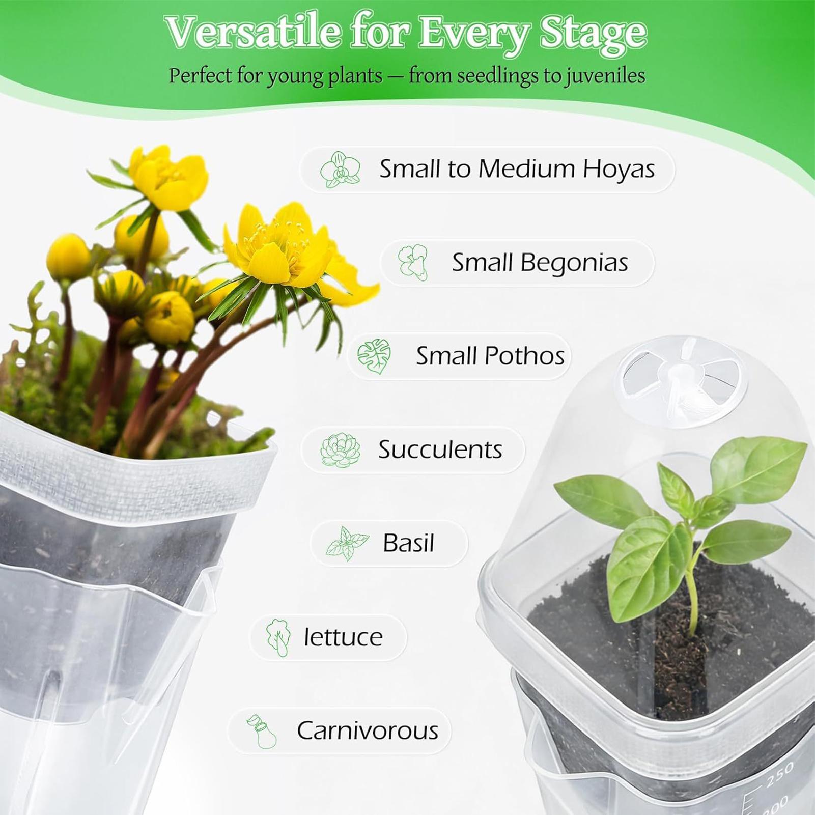 กระถางปลูกต้นไม้แบบรดน้ำเองได้ - Propagation Tray Dome บทวิจารณ์และราคา