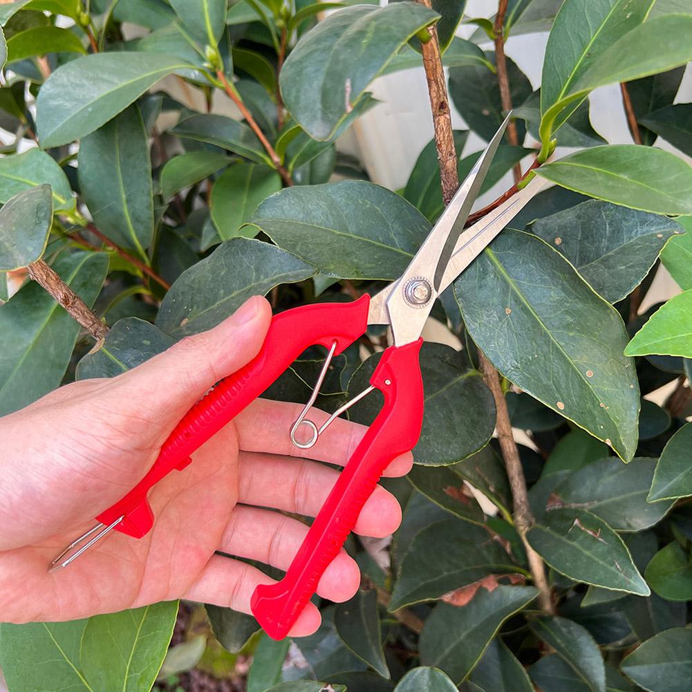 กรรไกรตัดแต่งกิ่ง Pro Garden แ - Gardening Tools Wholesale บทวิจารณ์และราคา