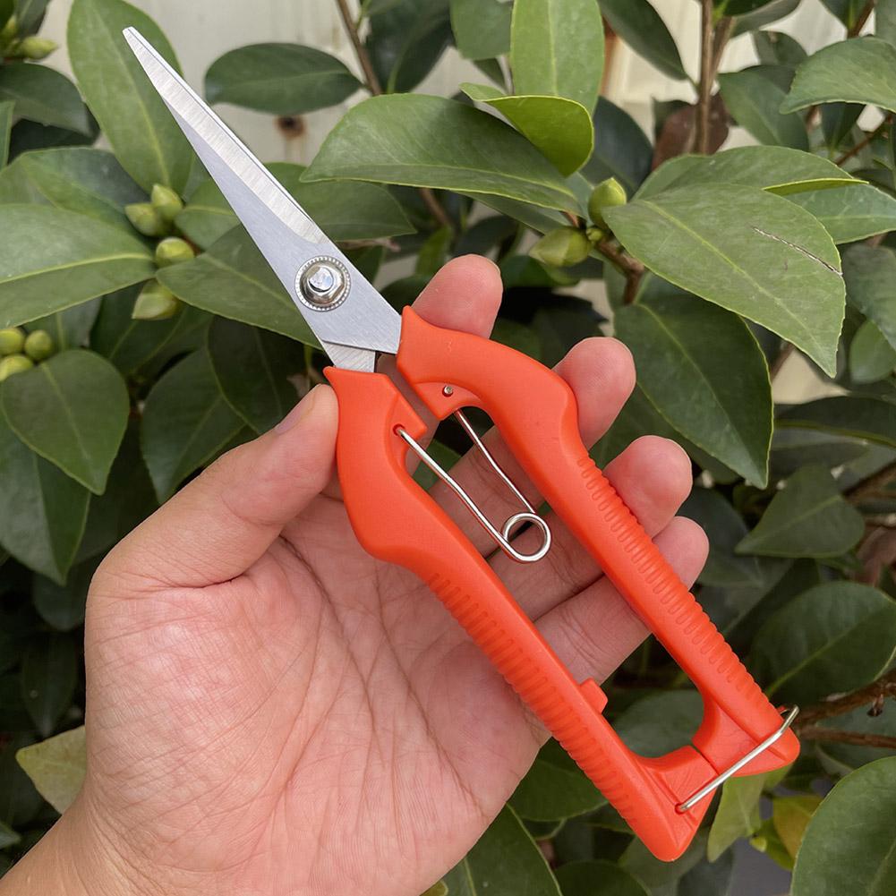 กรรไกรตัดแต่งกิ่ง Pro Garden แ - Gardening Tools Wholesale บทวิจารณ์และราคา