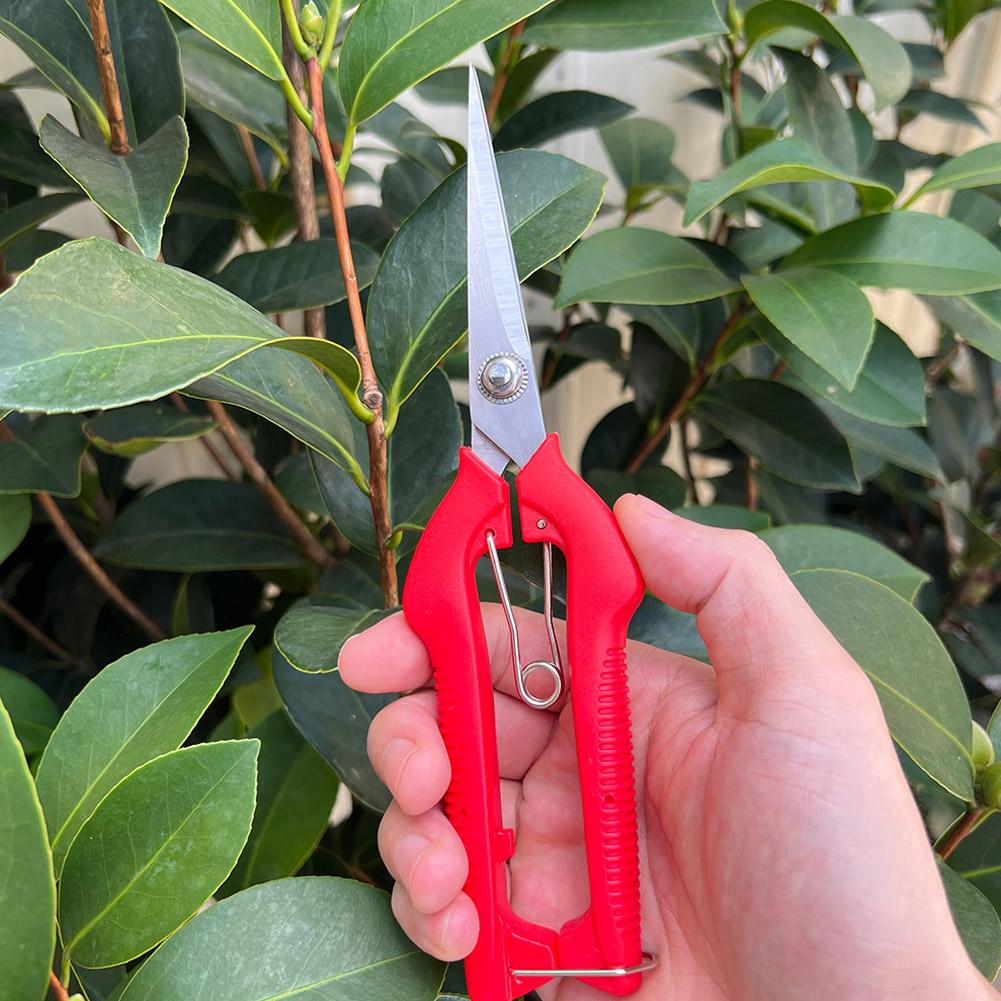 กรรไกรตัดแต่งกิ่ง Pro Garden แ - Gardening Tools Wholesale บทวิจารณ์และราคา