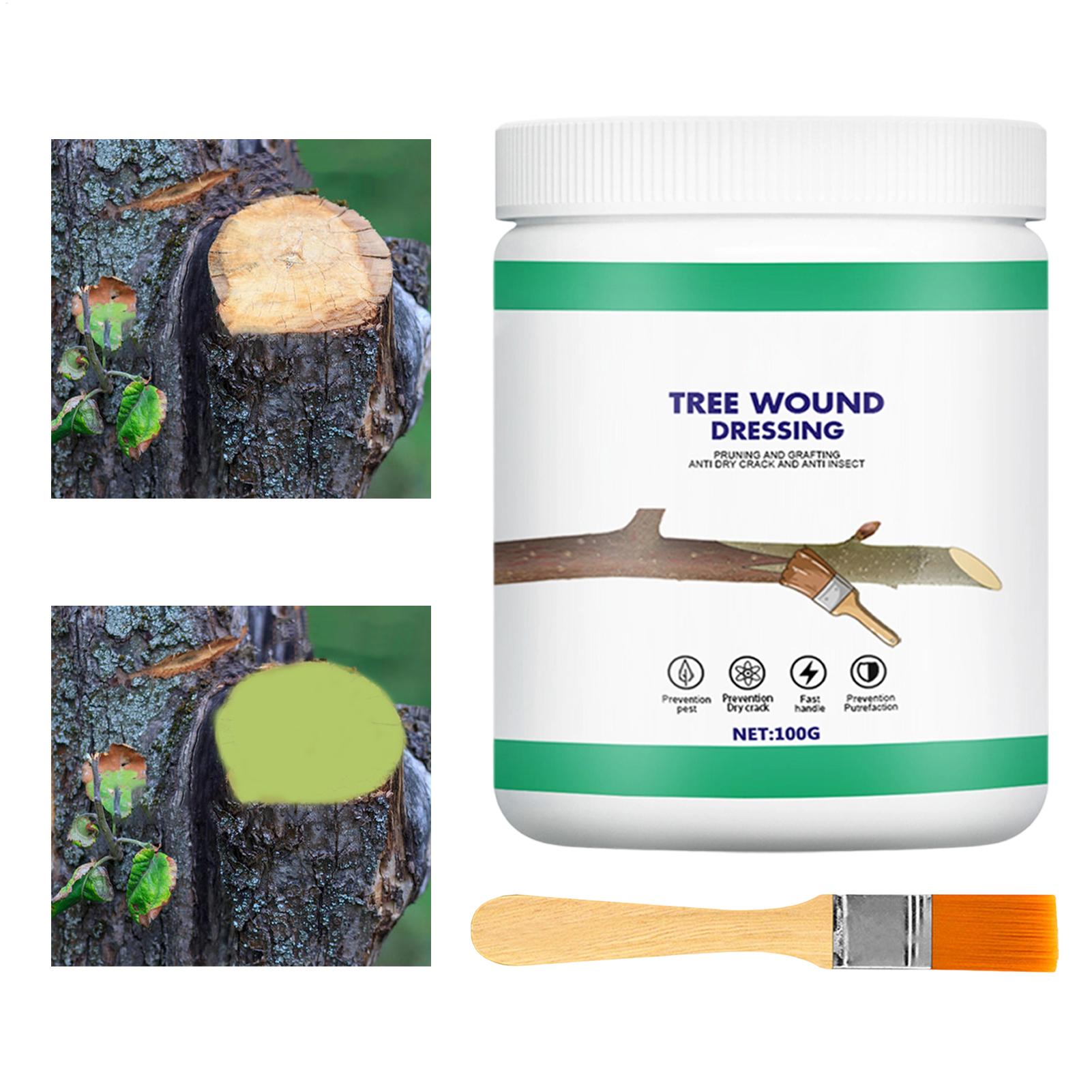 น้ำยาปิดแผลต้นไม้ น้ำยาทาแผลต้ - Gardening Tools Wholesale บทวิจารณ์และราคา